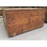 An early 20thC pine trunk with straight sides and a hinged lid  18.5"h  34.5"w