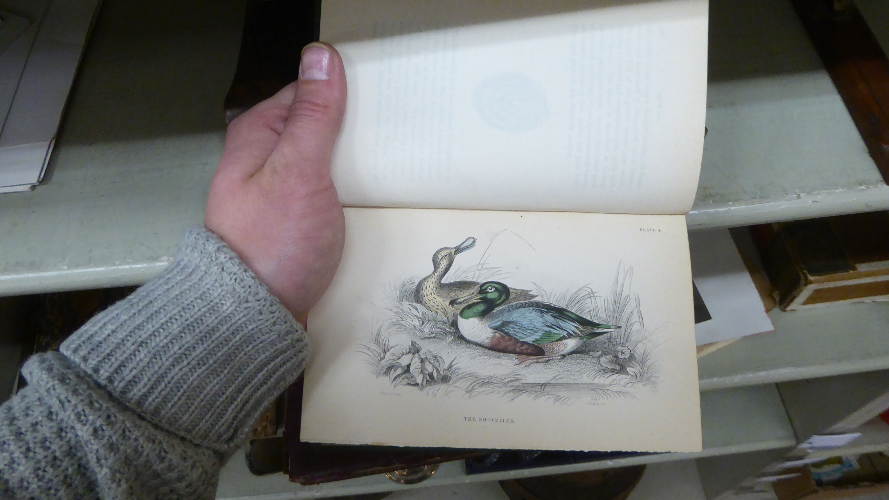 Books, wildlife reference: to include 'British Birds' by Sir W Jardine, published in four volumes, - Image 10 of 15