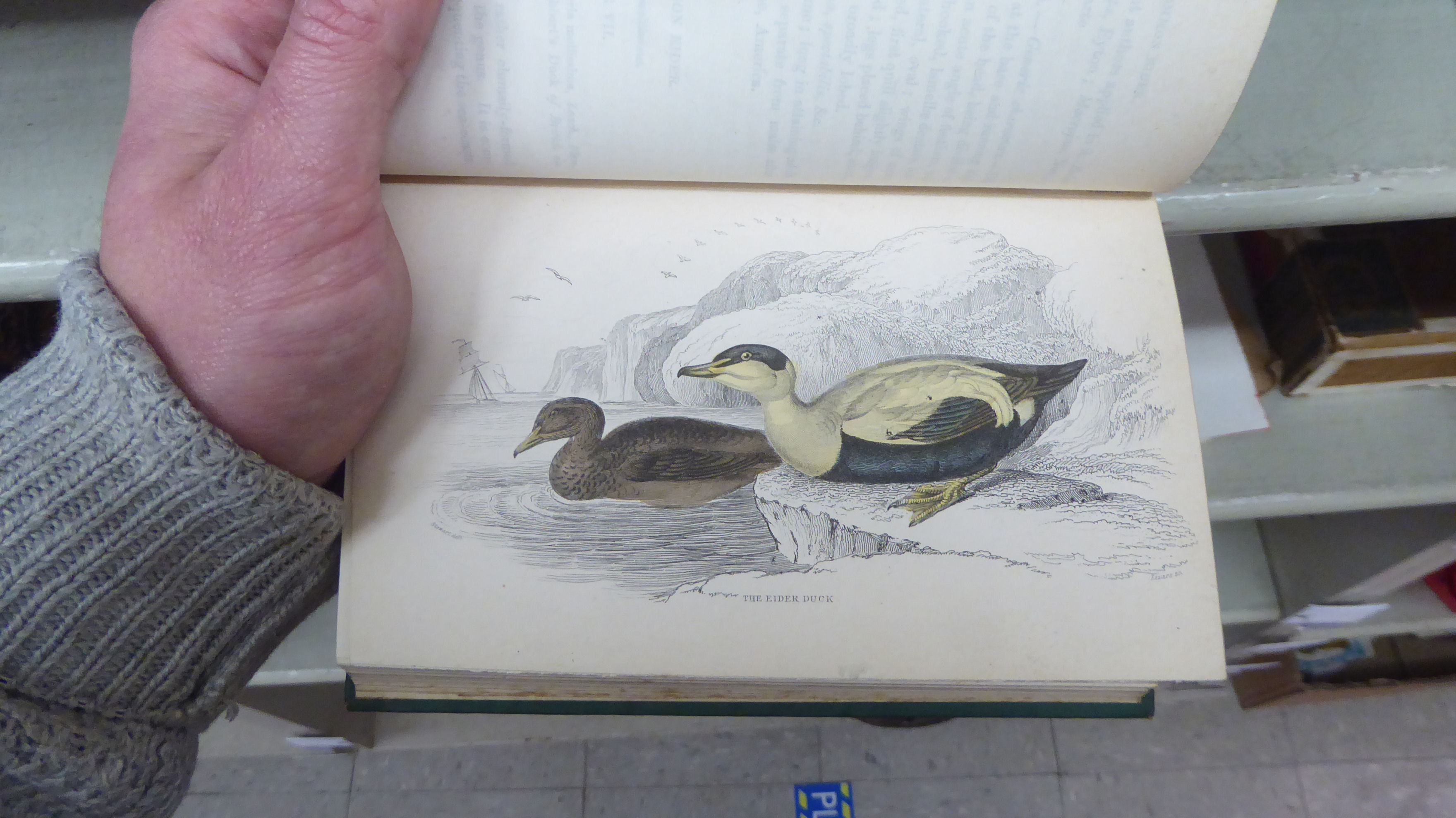 Books, wildlife reference: to include 'British Birds' by Sir W Jardine, published in four volumes, - Image 12 of 15
