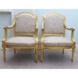 A pair of modern Louis XVI antique finished gilded showwood framed open arm salon chairs,