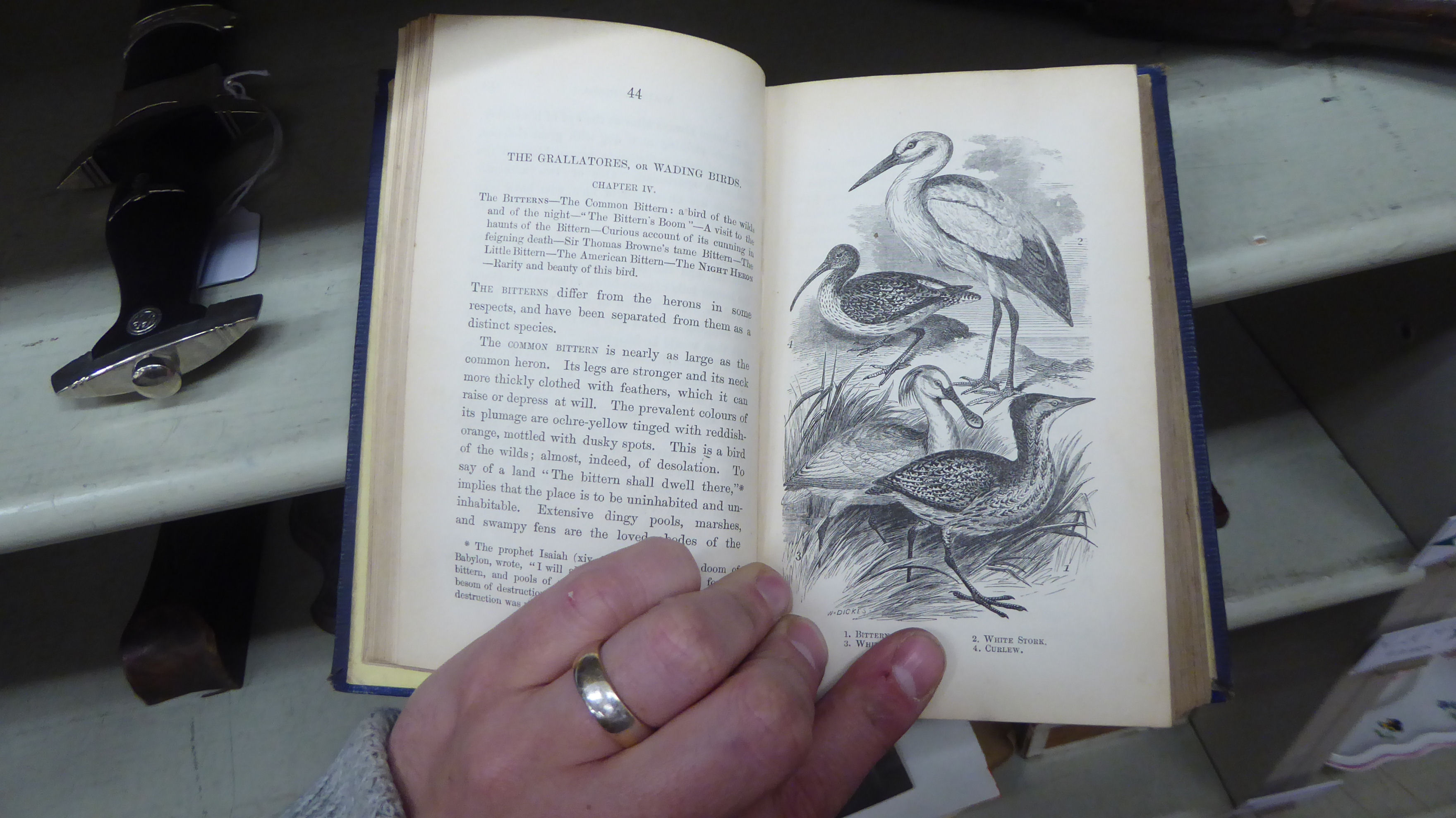 Books, wildlife reference: to include 'British Birds' by Sir W Jardine, published in four volumes, - Image 15 of 15