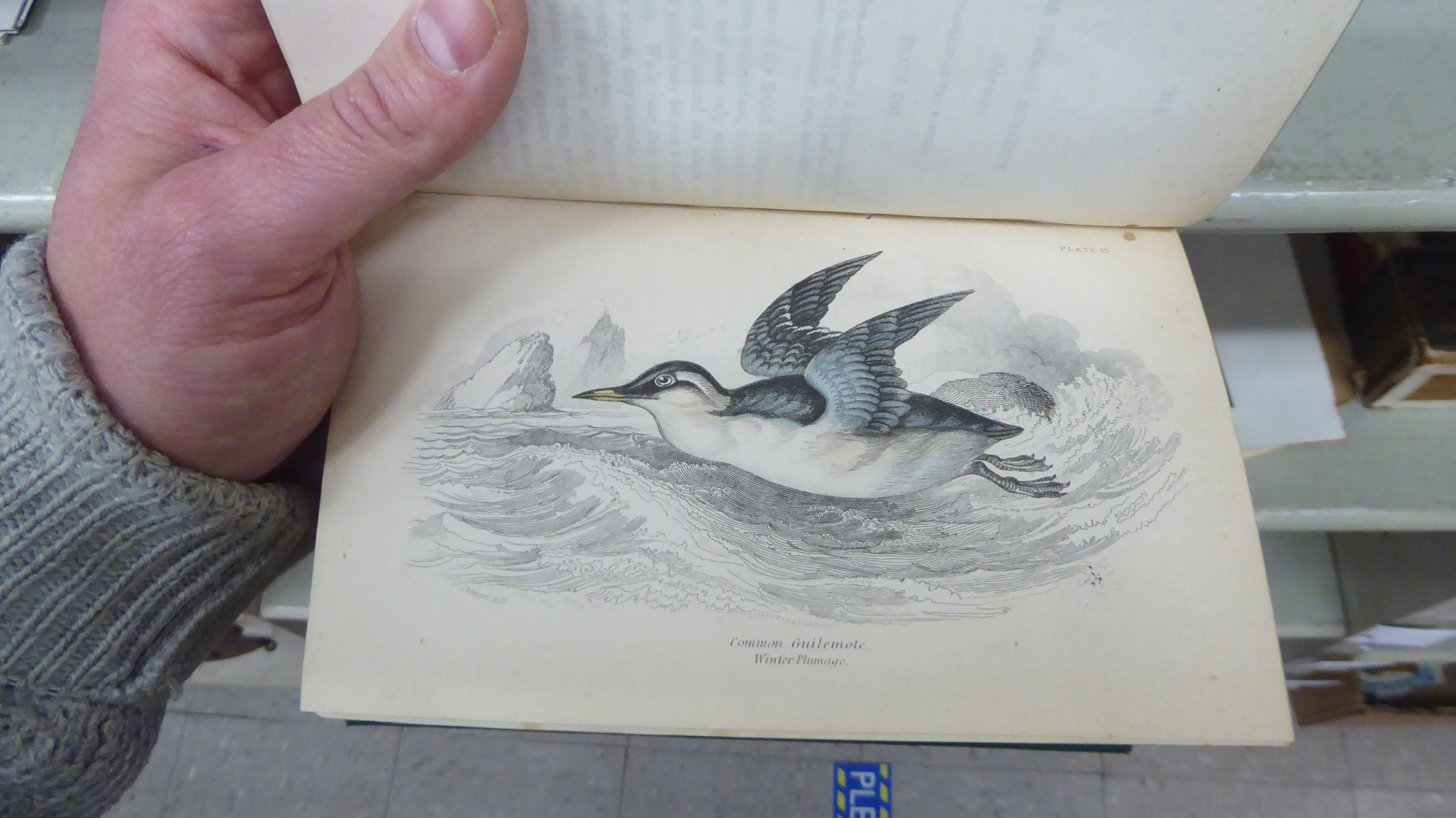 Books, wildlife reference: to include 'British Birds' by Sir W Jardine, published in four volumes, - Image 13 of 15