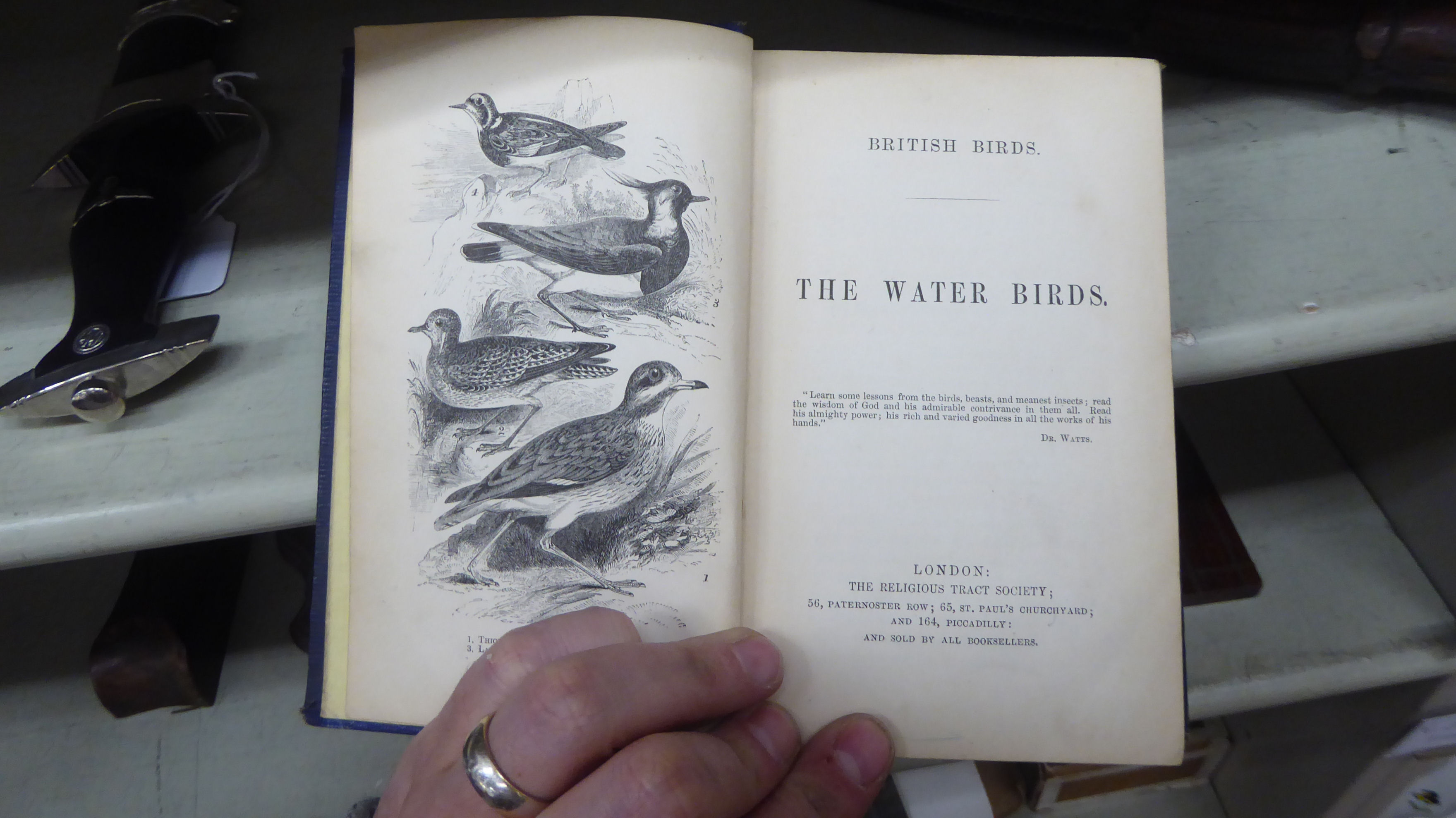 Books, wildlife reference: to include 'British Birds' by Sir W Jardine, published in four volumes, - Image 14 of 15