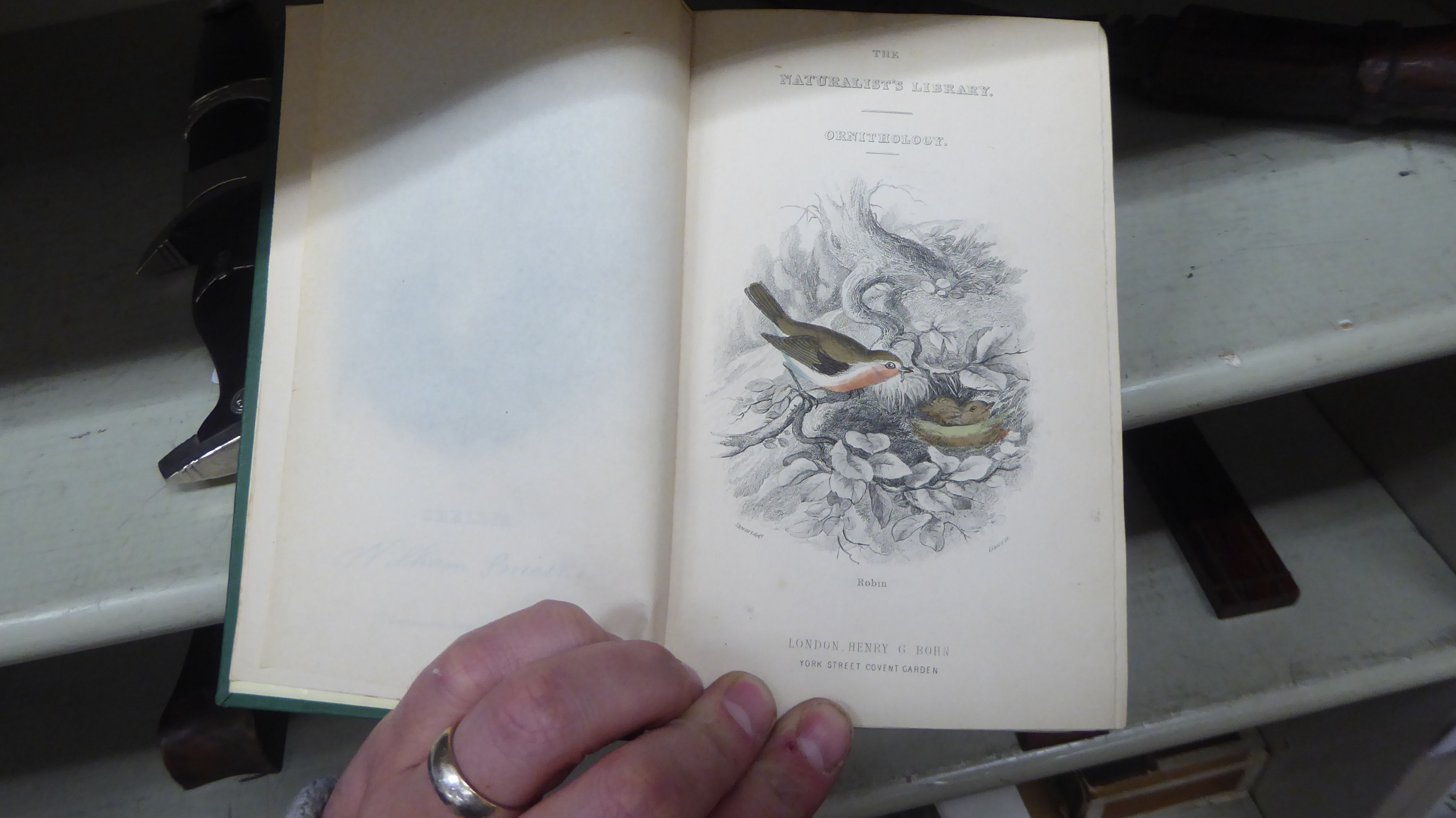 Books, wildlife reference: to include 'British Birds' by Sir W Jardine, published in four volumes, - Image 6 of 15