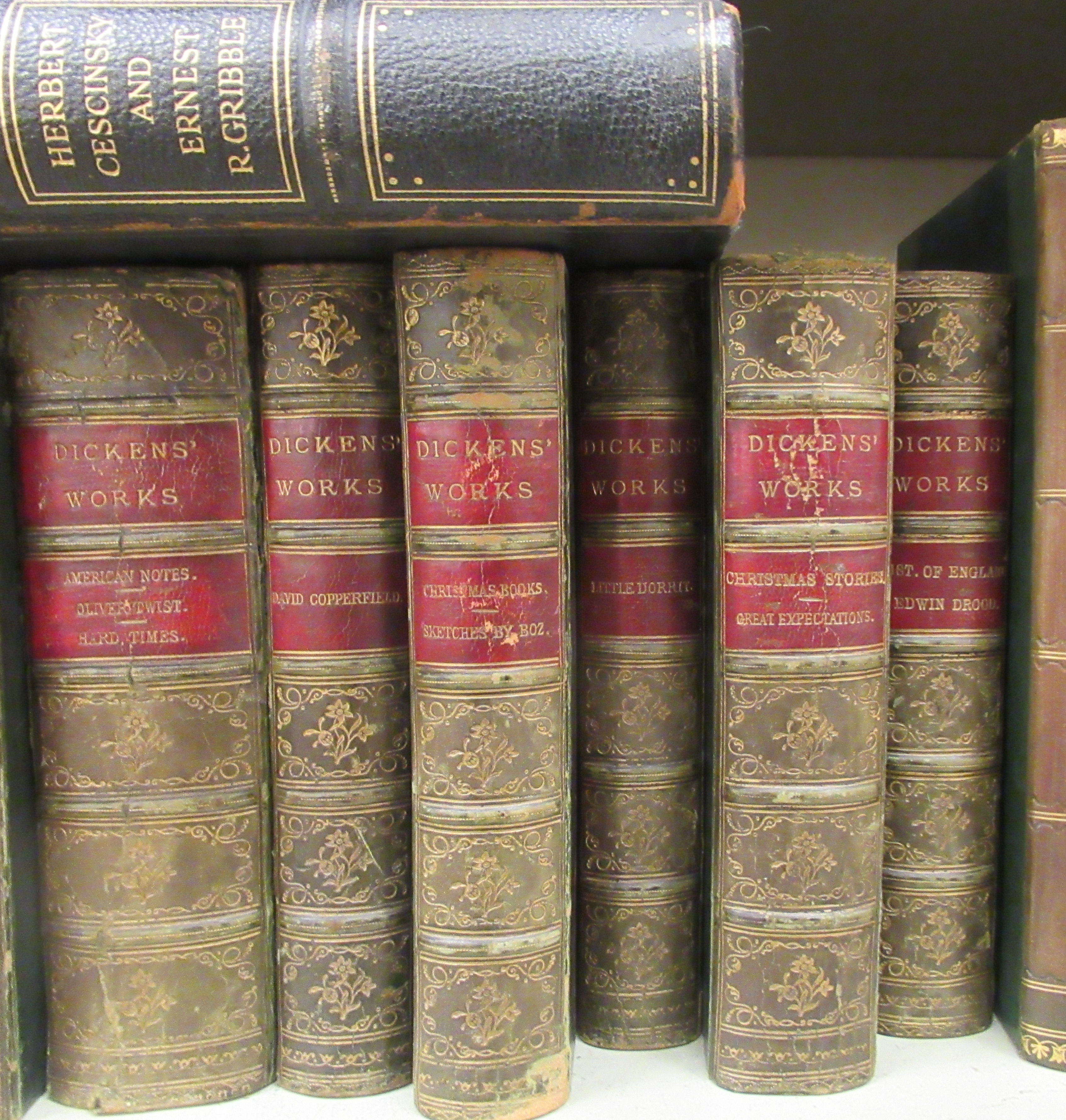 Books: to include works by Charles Dickens, published in fourteen half-calf bound volumes by Chapman - Image 3 of 5