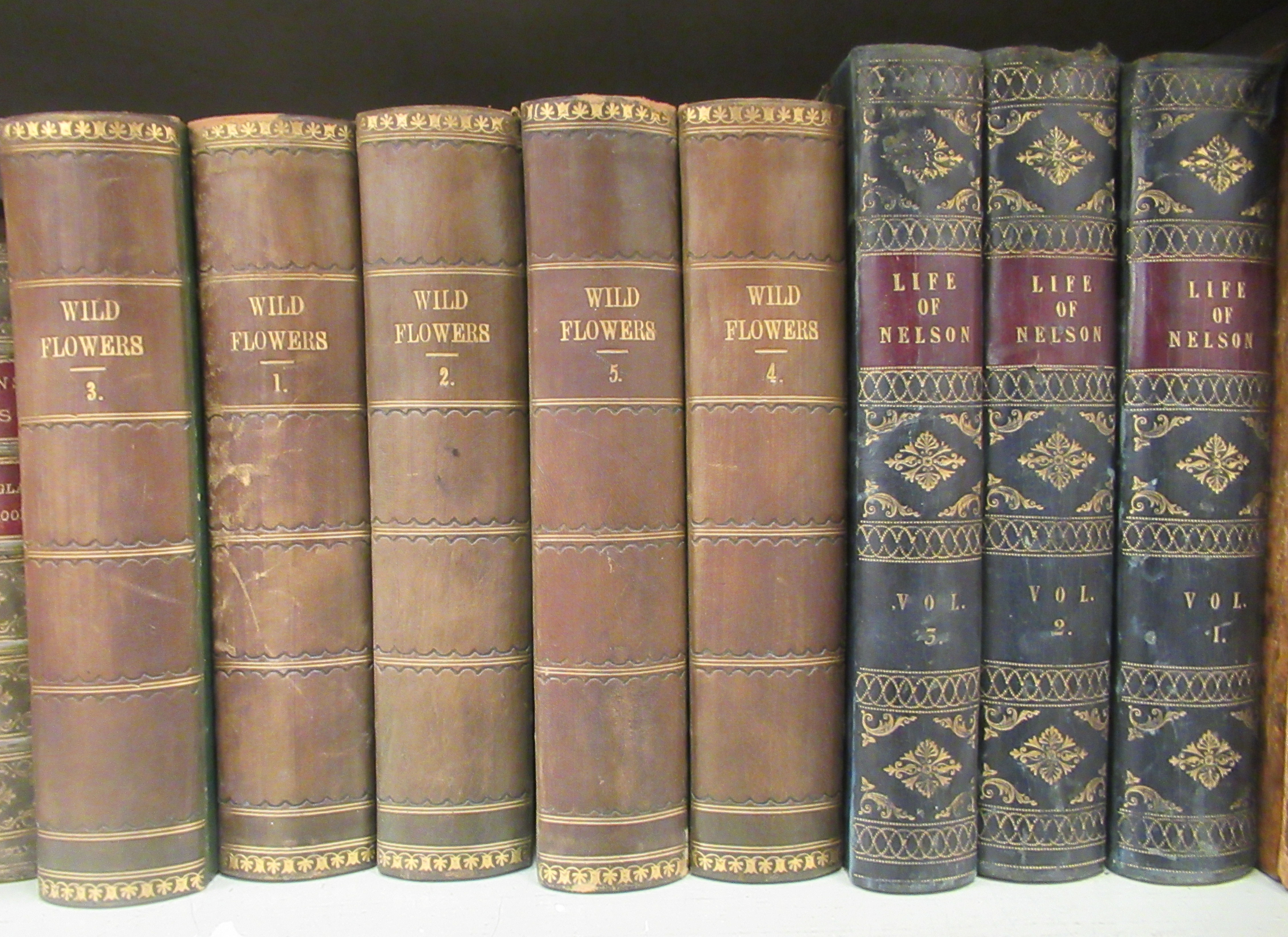 Books: to include works by Charles Dickens, published in fourteen half-calf bound volumes by Chapman - Image 4 of 5