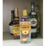 Mixed alcohol: to include a bottle of extra dry Martini