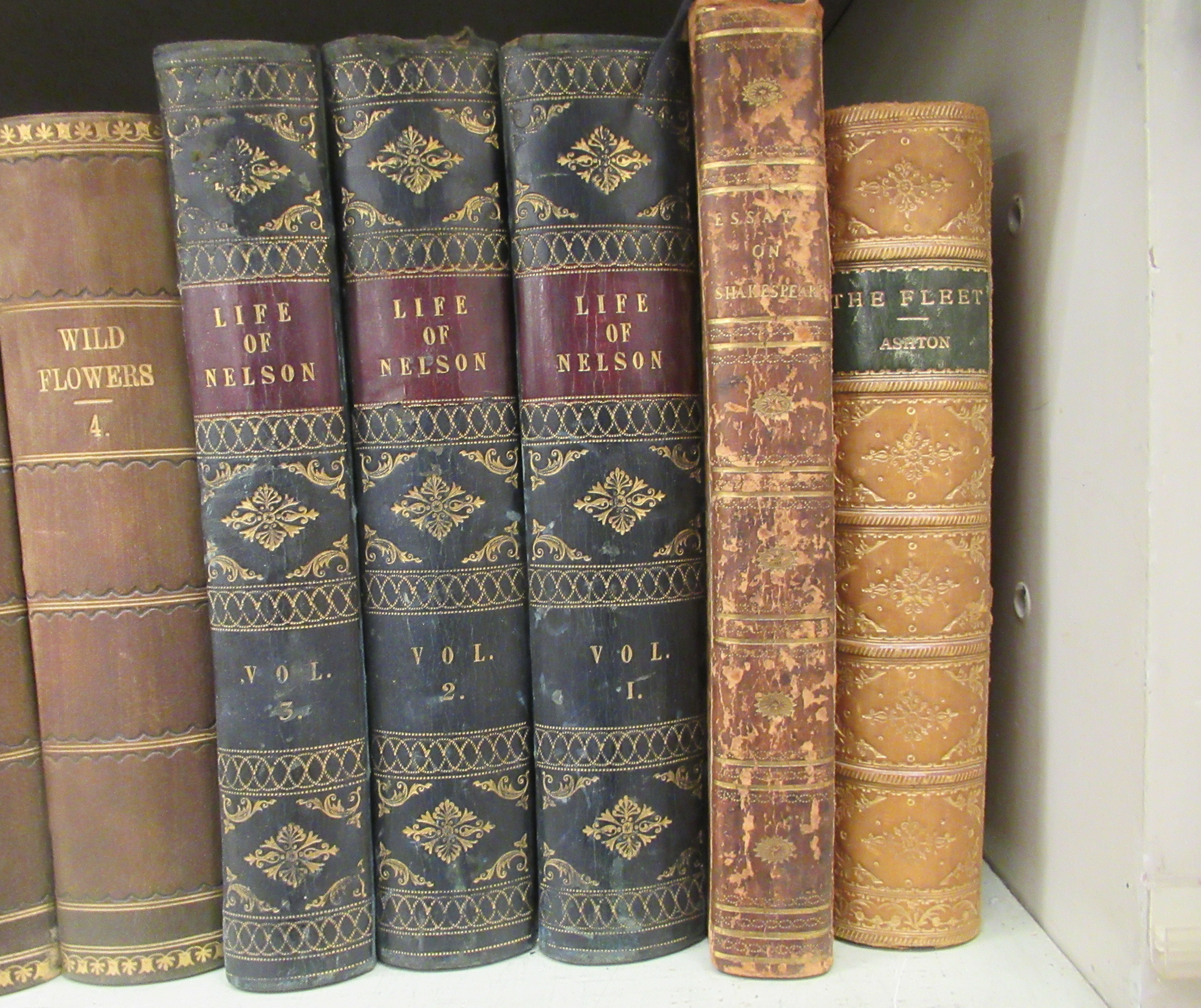 Books: to include works by Charles Dickens, published in fourteen half-calf bound volumes by Chapman - Image 5 of 5