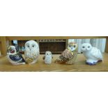 Five Royal Crown Derby china owl paperweights, each with a silvered stopper  dated 2014  tallest 5"h