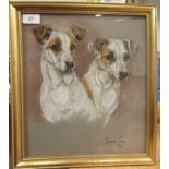 Marjory Cox - 'Two Jack Russells'  pastel  bears a signature & dated 1971 with 2001 newspaper