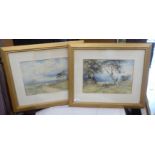 Two watercolours - sheep grazing in an open field  one bears an indistinct signature  9" x 14"