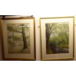 Van-Ewyk - two woodland studies  watercolours  bearing signatures  21" x 15"  framed