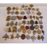 Approx. fifty military cap badges and other insignia, some copies: to include Oxfordshire