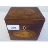 A 19thC boxwood string inlaid mahogany and marquetry, cube design tea caddy with butterfly and shell