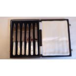 A set of six Cooper Bros & Sons stainless steel fruit knives, on mother-of-pearl handles  cased