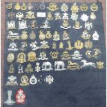 Over sixty military cap badges and other insignia, some copies: to include The Queen's Own