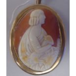 A 9ct gold framed shell carved cameo brooch