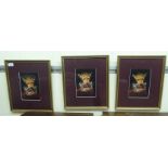 Three identical coloured photographic prints, each depicting a young big cat  5.5" x 8"  framed