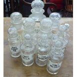 A collection of clear glass apothecary jars with labels  various sizes