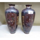 A pair of early 20thC Chinese cloisonné vases, each decorated with birds and flowers  11"h