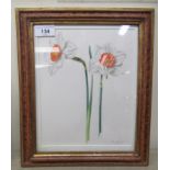 Graham Rust - a botanical study of specimen flowers  watercolour  bears a signature  10" x 7.5"