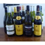 Wine, fifteen bottles: to include Rioja and Sauvignon Blanc