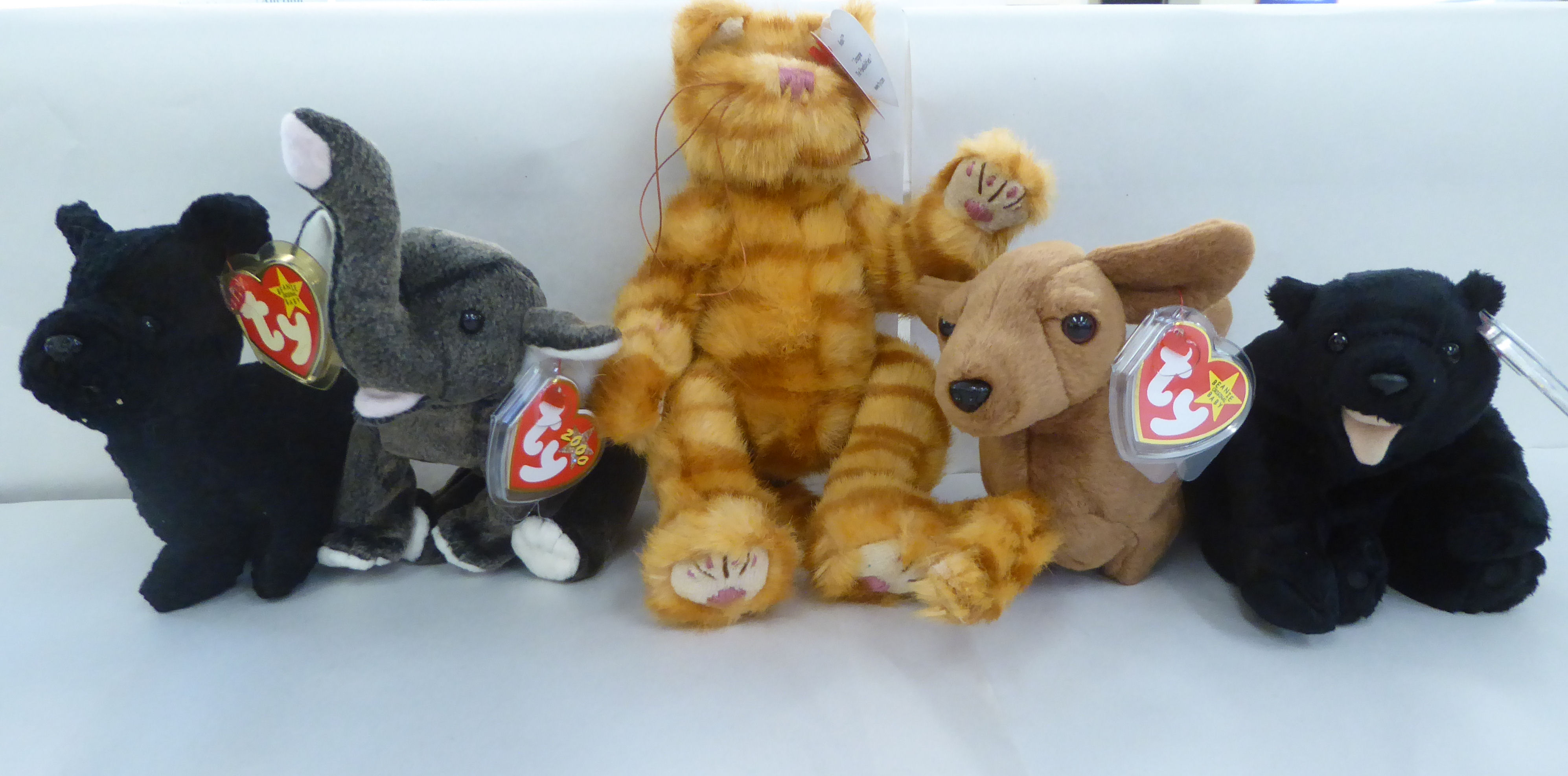 Twenty five Beanie Babies Teddy bears and animals: to include a fish