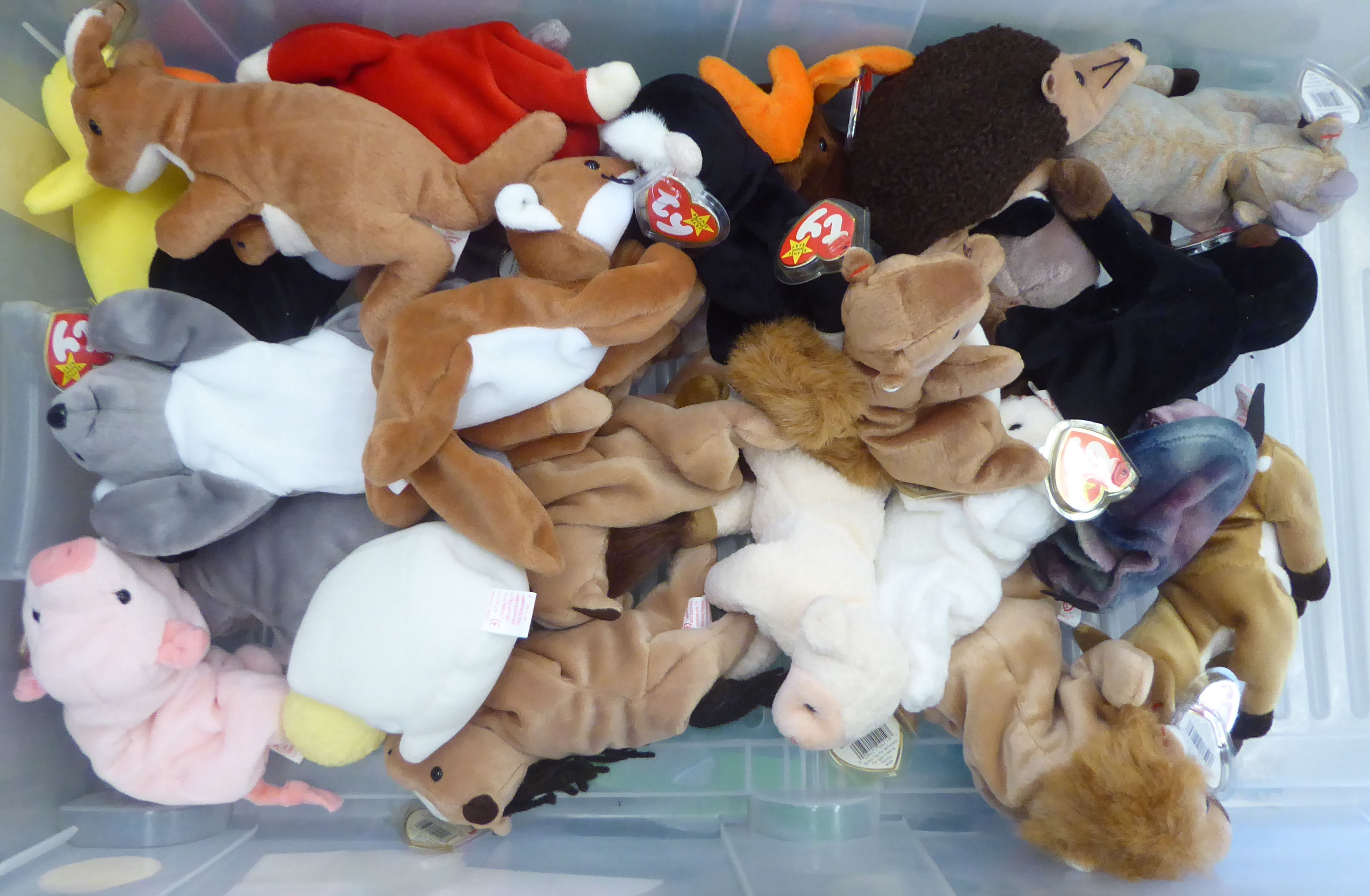 Twenty five Beanie Babies Teddy bears and animals: to include a kangaroo