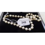 Pearl Company uniform cultured pearl necklace