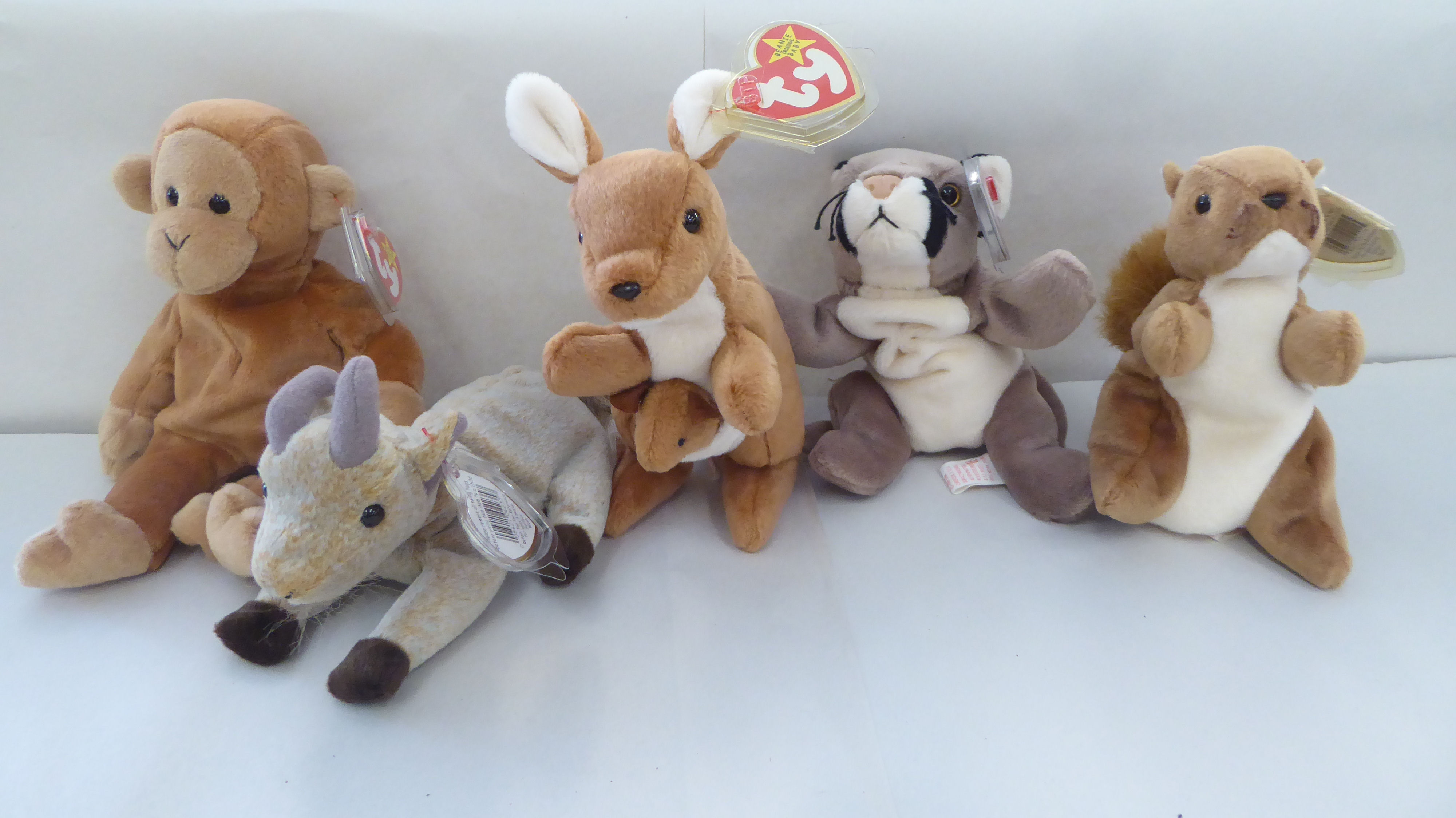 Twenty five Beanie Babies Teddy bears and animals: to include a kangaroo - Image 3 of 6