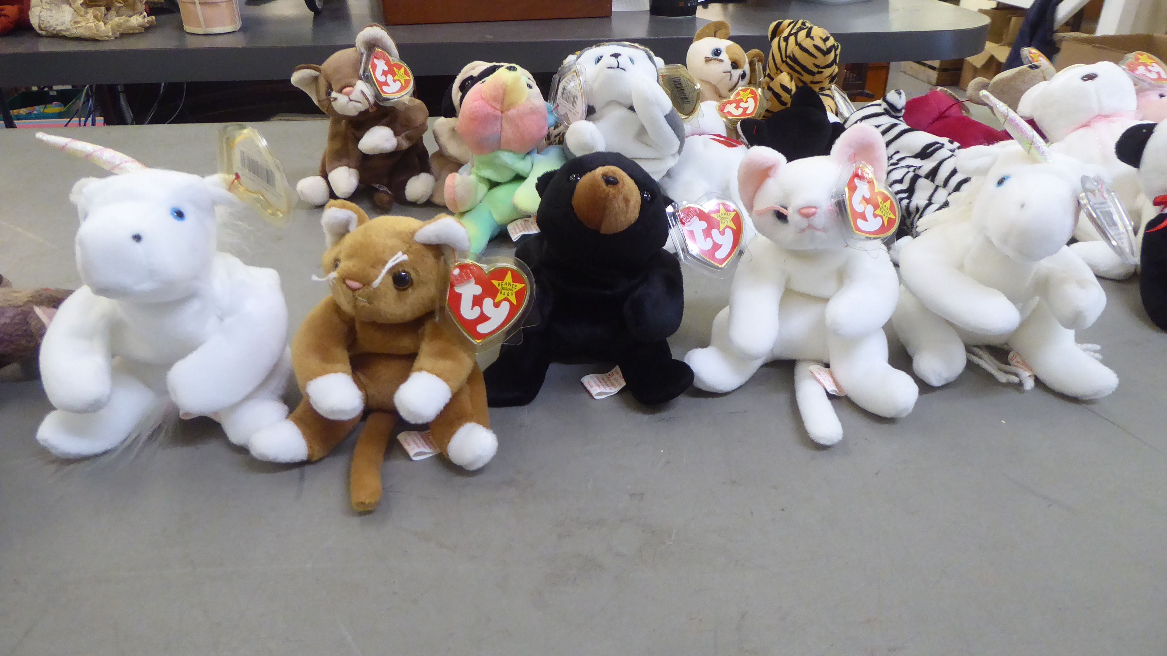 Twenty five Beanie Babies Teddy bears and animals: to include a wolf - Image 2 of 6