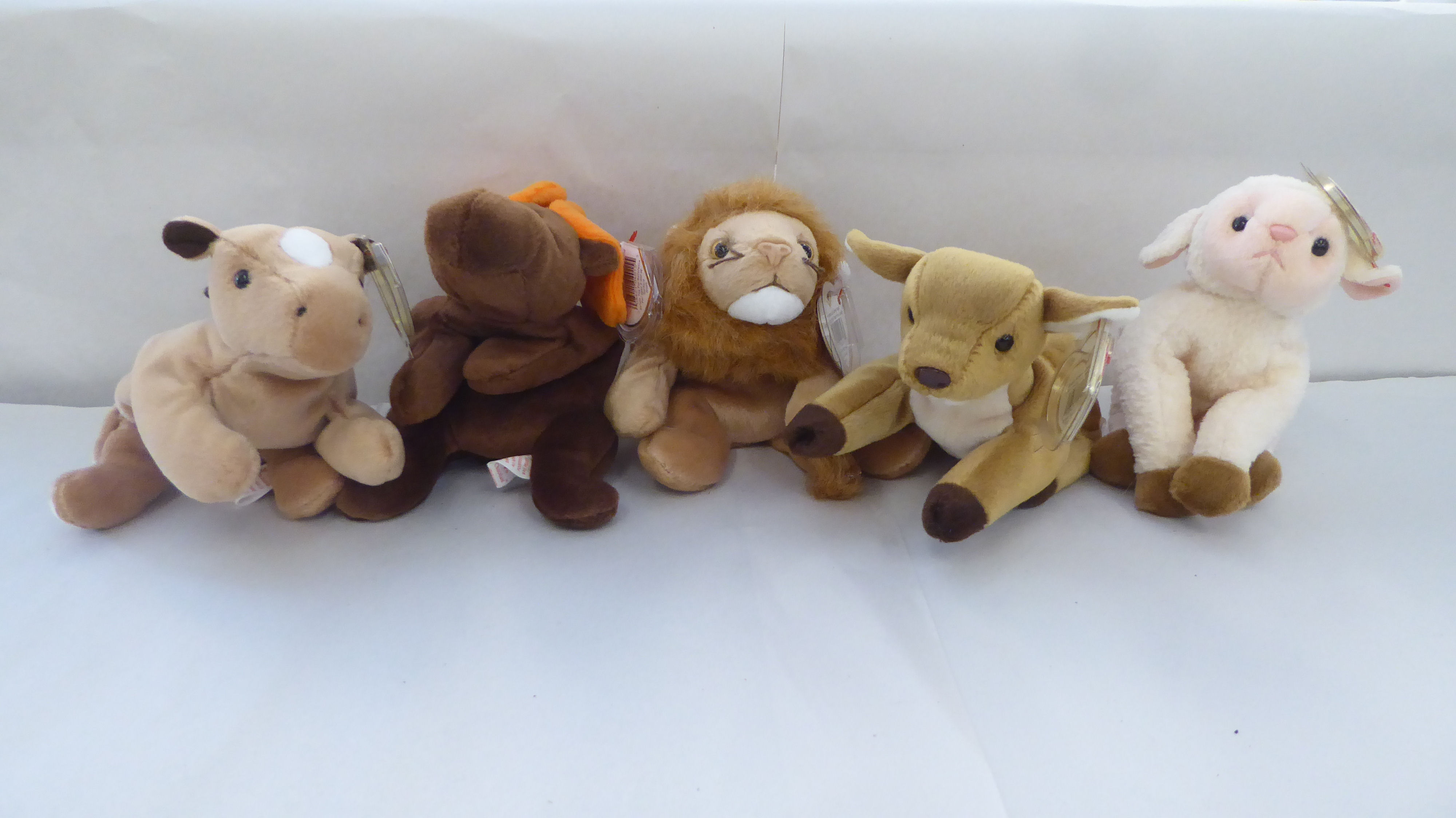 Twenty five Beanie Babies Teddy bears and animals: to include a kangaroo - Image 4 of 6