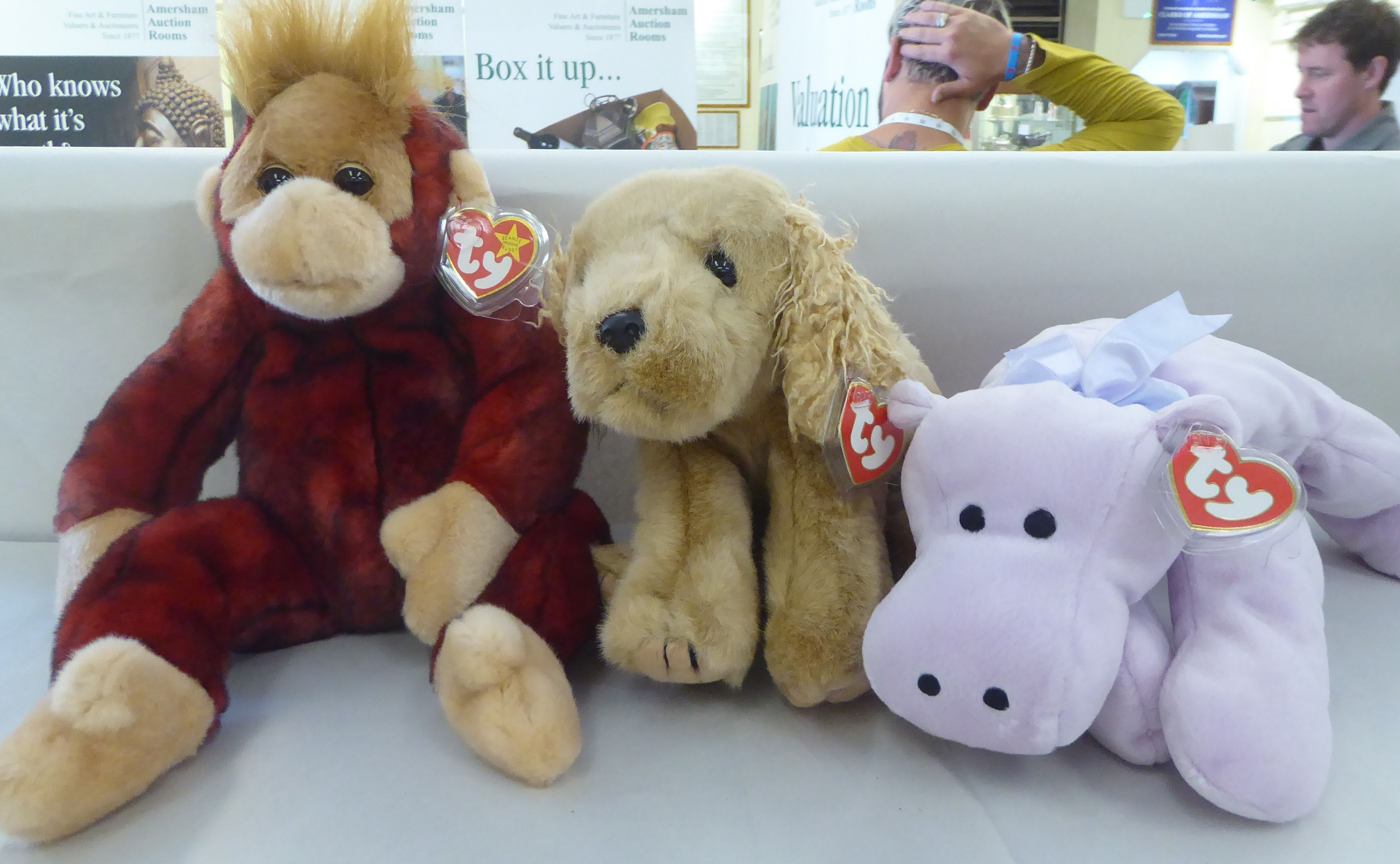 Ten Beanie Buddy Teddy bears and animals: to include 'Schweetheart'