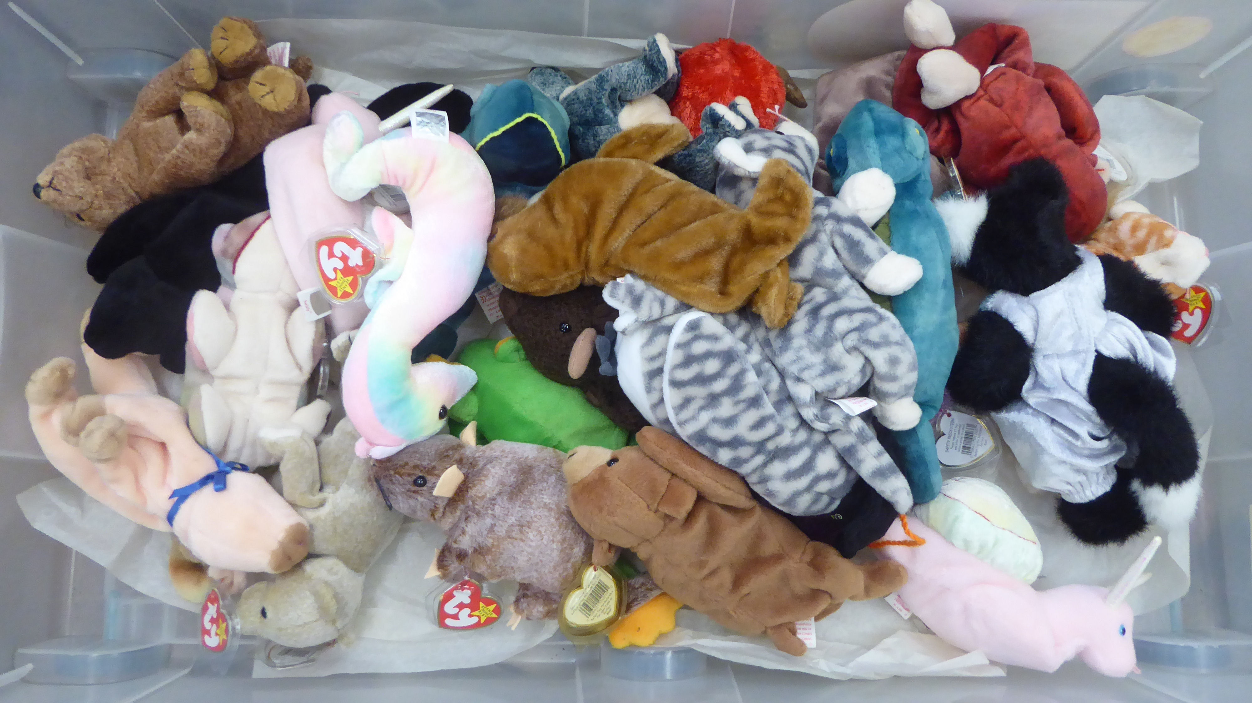 Twenty five Beanie Babies Teddy bears and animals: to include a snail