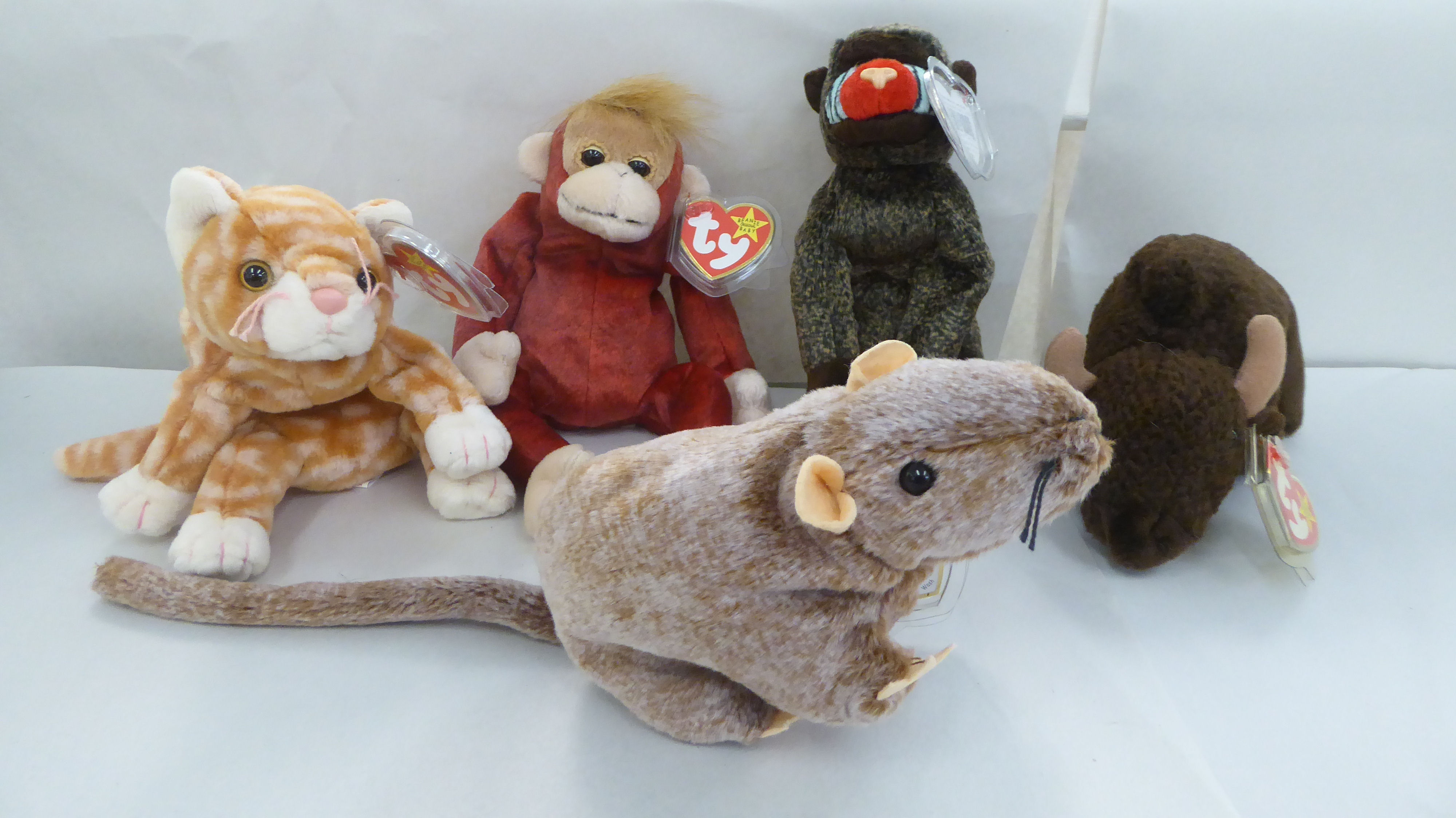 Twenty five Beanie Babies Teddy bears and animals: to include a snail - Image 5 of 6