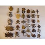 Approx. thirty military cap badges and other insignia, some copies: to include Mine Clearance