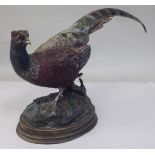 A patinated cold cast bronze model, a cock pheasant, on a naturalistic oval base  10"h