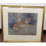 J Murray Thompson - a recumbent Lynx  watercolour  bears a signature  10" x 14"  framed