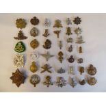 Approx. forty military cap badges and other insignia, some copies: to include Royal Hampshire,