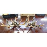 A pair of scratch built brass and antler hanging centre lights  25"dia spread