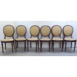 A set of six early 20thC French inspired mahogany showwood framed dining chairs, raised on