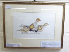 Kenneth Norman Lilly - an ornithological study, partridges and chicks  watercolour  bears a