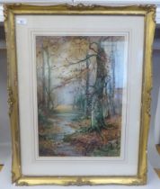 Thomas Taylor - 'Burnham Beeches'  watercolour  bears a signature  19.5" x 13"  framed