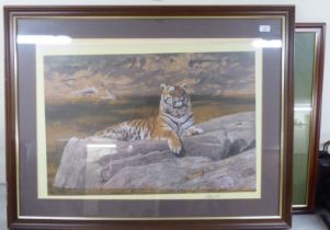 After David Shepherd - two studies of tigers  prints  bearing pencil signatures  26" x 36"  framed