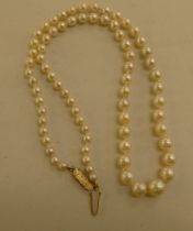 A graduated pearl necklace, on a yellow metal clasp  stamped 9ct