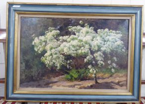 J Kutcheoulry - a tree in a landscape  oil on canvas  bears a signature & dated 1897  15" x 23"