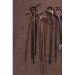 An assorted collection of vintage walking sticks and canes