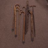 A selection of naturalistic, turned and carved wood walking sticks and canes.