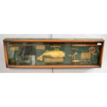 A Rainbow Trout fisherman's display case.