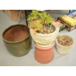 A selection of garden plant pots.